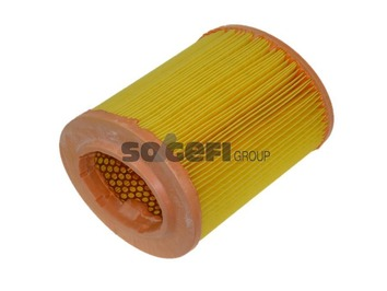 Luftfilter PURFLUX A1211