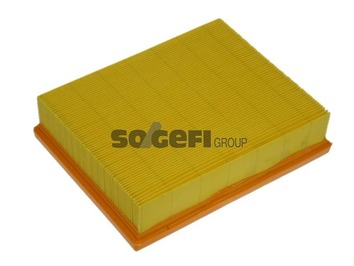Luftfilter PURFLUX A1213