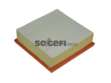 Luftfilter PURFLUX A1223