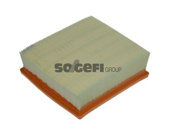 Luftfilter PURFLUX A1234