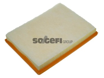 Luftfilter PURFLUX A1250