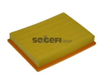 Luftfilter PURFLUX A1347