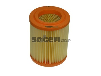 Luftfilter PURFLUX A1392