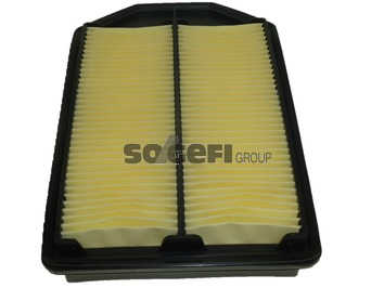 Luftfilter PURFLUX A1587