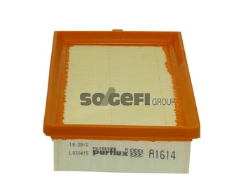 Luftfilter PURFLUX A1614