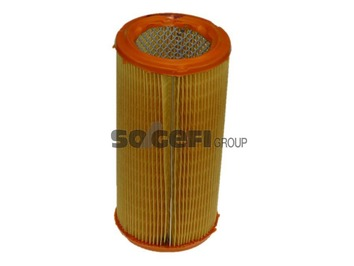 Luftfilter PURFLUX A224