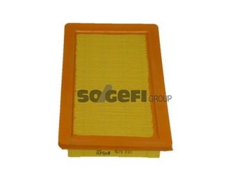 Luftfilter PURFLUX A275