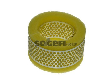 Luftfilter PURFLUX A408