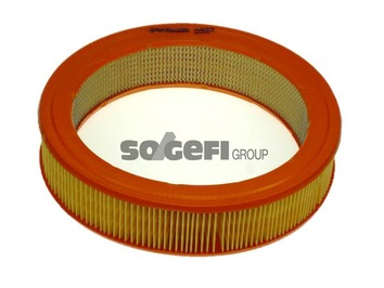Luftfilter PURFLUX A822