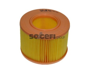 Luftfilter PURFLUX A844
