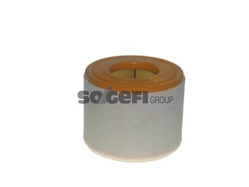 Luftfilter PURFLUX A1549