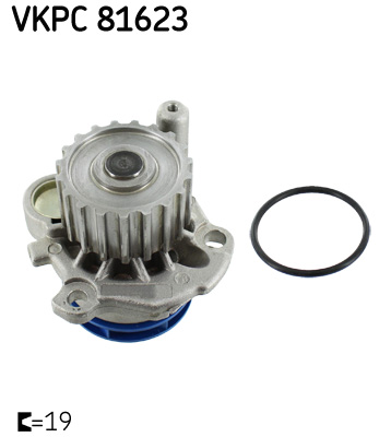 Wasserpumpe, Motorkühlung SKF VKPC81623