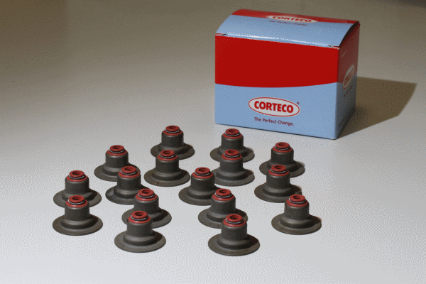 Dichtungssatz, Ventilschaft