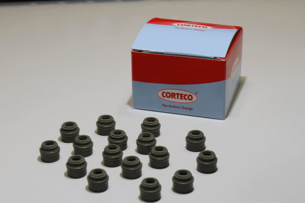 Dichtungssatz, Ventilschaft CORTECO 19034071