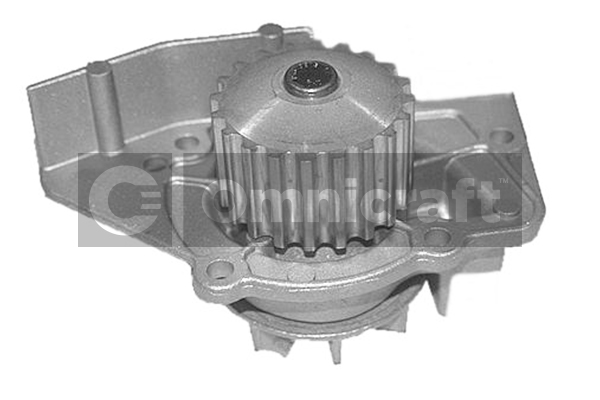 Wasserpumpe, Motorkühlung Omnicraft 2316878