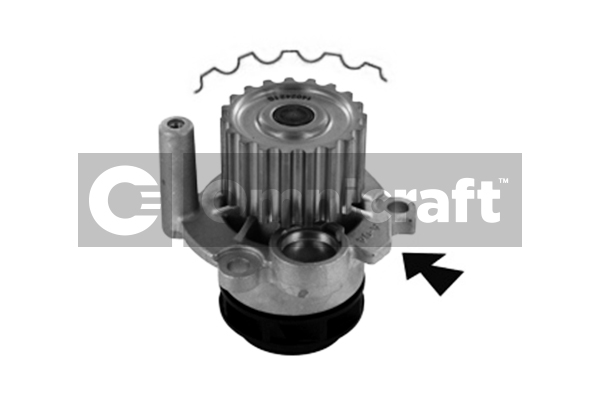 Wasserpumpe, Motorkühlung Omnicraft 2316884