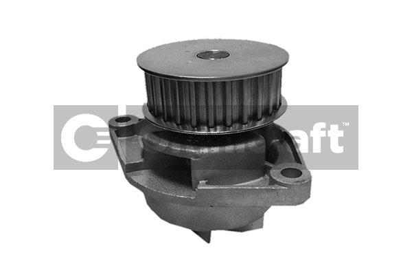 Wasserpumpe, Motorkühlung Omnicraft 2316886