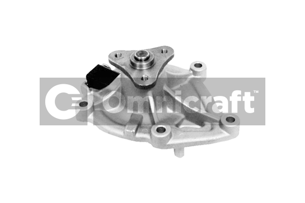 Wasserpumpe, Motorkühlung Omnicraft 2316921