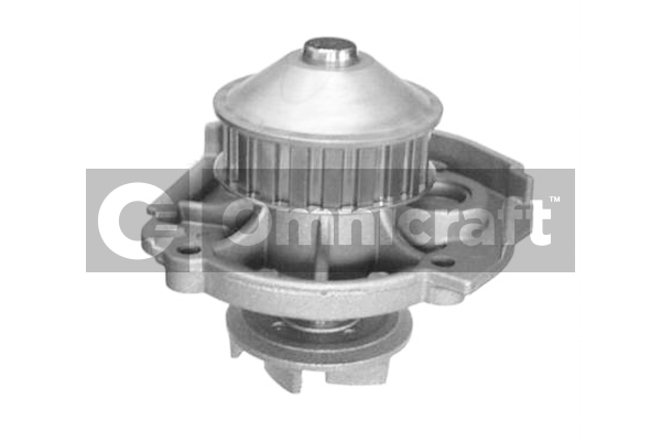 Wasserpumpe, Motorkühlung Omnicraft 2316930