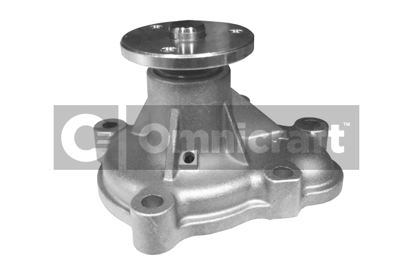 Wasserpumpe, Motorkühlung Omnicraft 2316976