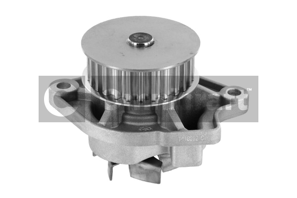Wasserpumpe, Motorkühlung Omnicraft 2316984