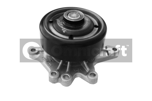 Wasserpumpe, Motorkühlung Omnicraft 2317000