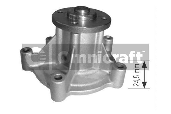 Wasserpumpe, Motorkühlung Omnicraft 2317018