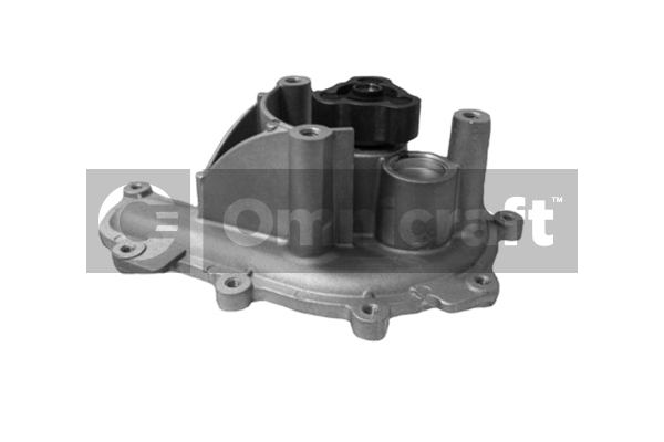 Wasserpumpe, Motorkühlung Omnicraft 2317067