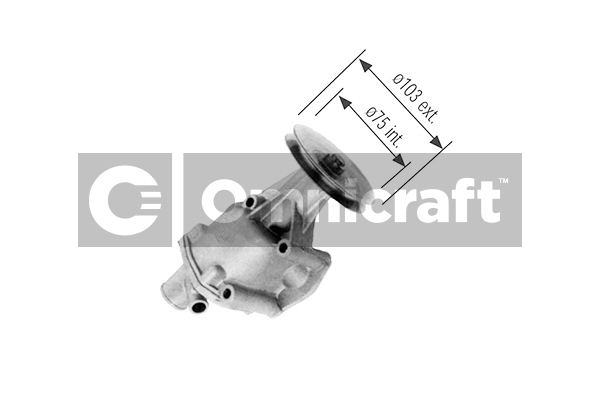 Wasserpumpe, Motorkühlung Omnicraft 2317131