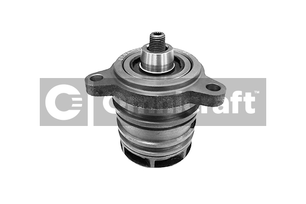 Wasserpumpe, Motorkühlung Omnicraft 2317139