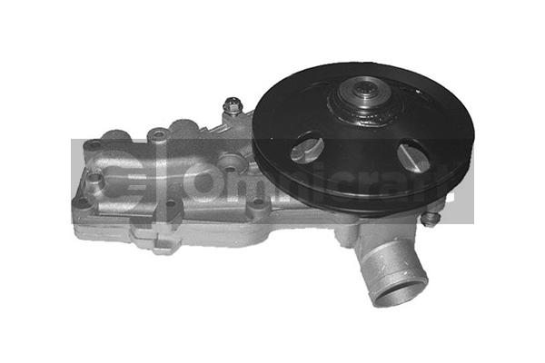 Wasserpumpe, Motorkühlung Omnicraft 2317143