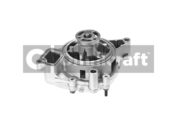 Wasserpumpe, Motorkühlung Omnicraft 2317163