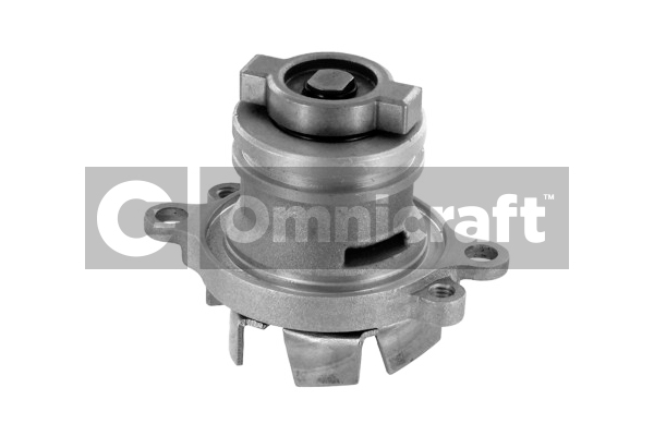 Wasserpumpe, Motorkühlung Omnicraft 2317177