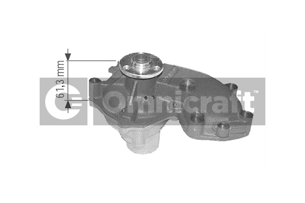Wasserpumpe, Motorkühlung Omnicraft 2317204