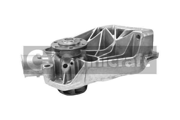 Wasserpumpe, Motorkühlung Omnicraft 2317242
