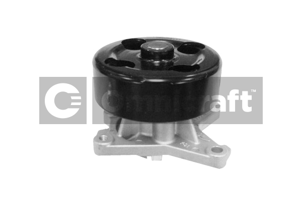 Wasserpumpe, Motorkühlung Omnicraft 2317278