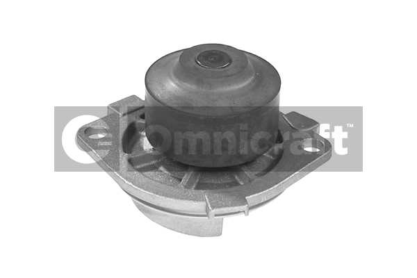 Wasserpumpe, Motorkühlung Omnicraft 2317296