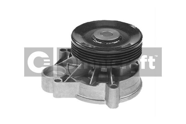 Wasserpumpe, Motorkühlung Omnicraft 2317348