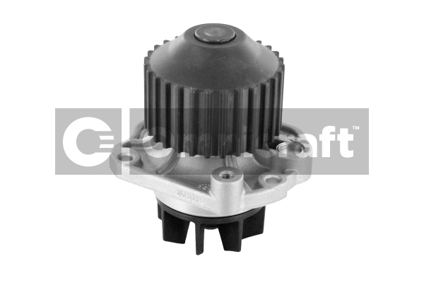 Wasserpumpe, Motorkühlung Omnicraft 2317364