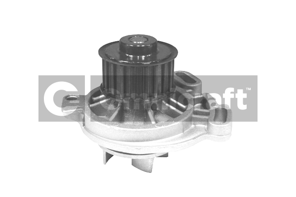 Wasserpumpe, Motorkühlung Omnicraft 2317397