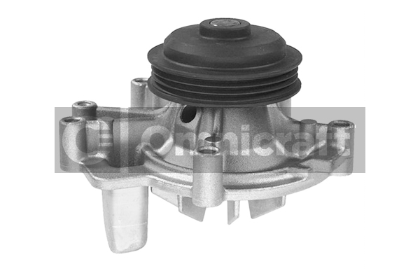 Wasserpumpe, Motorkühlung Omnicraft 2317403