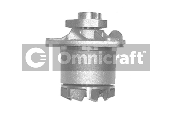 Wasserpumpe, Motorkühlung Omnicraft 2317416