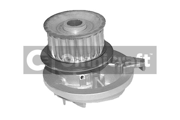Wasserpumpe, Motorkühlung Omnicraft 2317428
