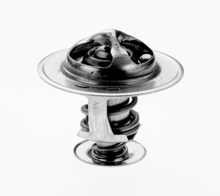 Thermostat, Kühlmittel Omnicraft 2458097