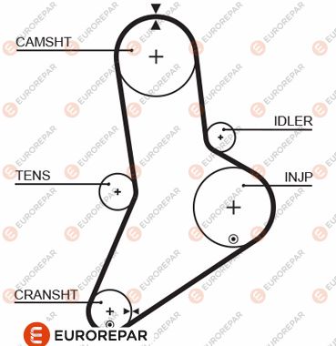 Zahnriemen EUROREPAR 1633142180