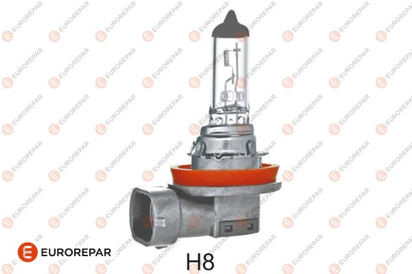Glühlampe, Nebelscheinwerfer EUROREPAR 1637237980