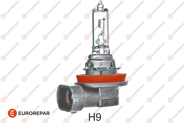 Glühlampe, Fernscheinwerfer EUROREPAR 1637238080