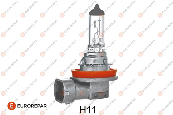 Glühlampe für Nebelscheinwerfer für HONDA ACCORD VIII (CU) 2.4 i 148 kW / 201  PS