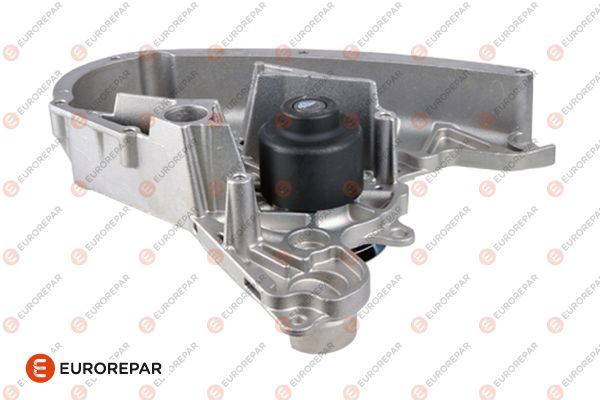 Wasserpumpe, Motorkühlung EUROREPAR 1688987980